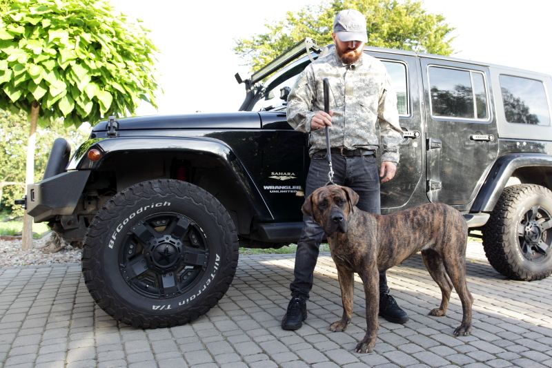 szczeniaki_cane_corso_italiano